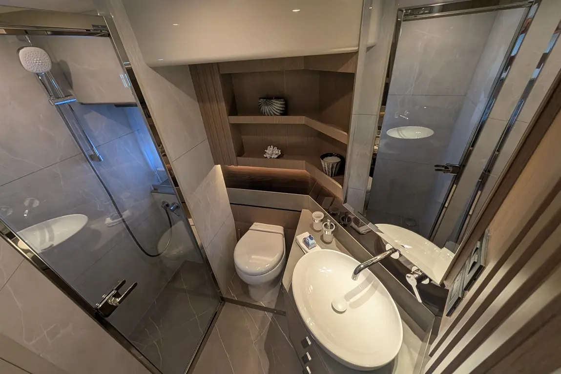 Modern bathroom with a shower, toilet, and sleek basin, featuring wooden shelves and elegant decor accents.